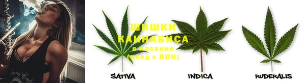 прущие грибы Абдулино