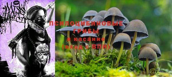 СК Сатка