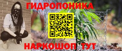 прущие грибы Комсомольск-на-Амуре