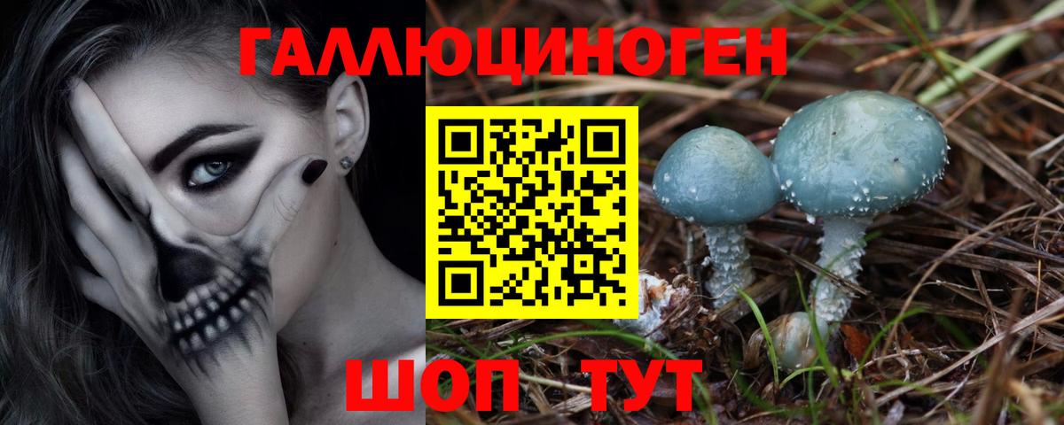 Псилоцибиновые грибы Psilocybe  Вход с VPN  Ивантеевка 